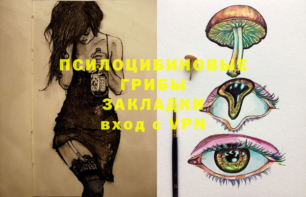 сатива Магадан