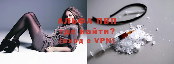 сатива Магадан